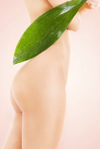 Female torso with green leaf over beige background — Stock Photo, Image