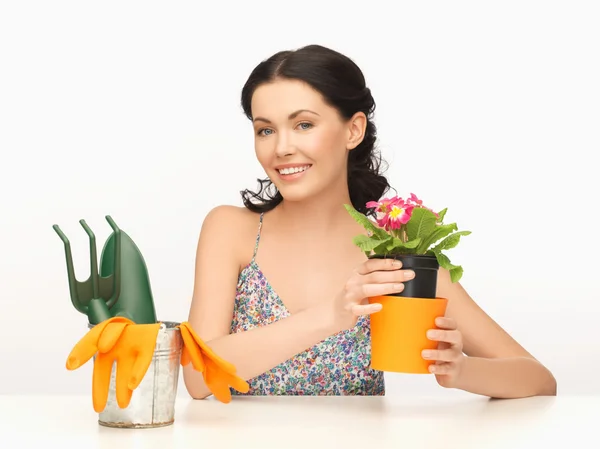 Housewife with flower in pot and gardening set — Stock Photo, Image