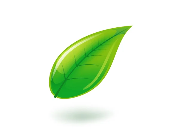 Illustration of green leaf — Stock Photo, Image