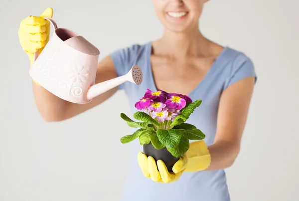 Kadın holding pot ile çiçek — Stok fotoğraf