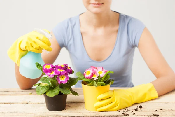 Huisvrouw met bloem in pot en spray fles — Stockfoto