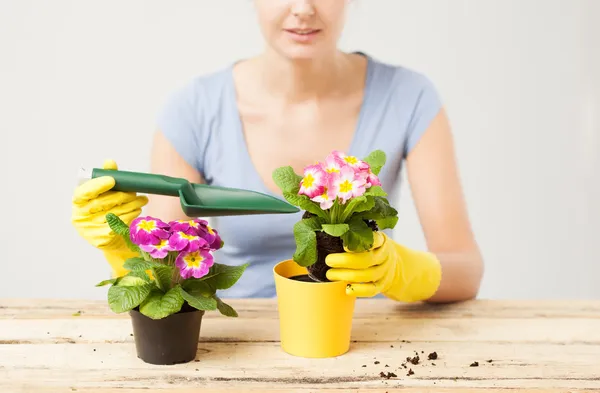 Housewife with flower in pot and gardening set — Stock Photo, Image