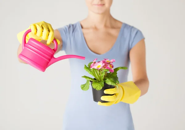 Woman holding pot with flower — Stock Photo, Image