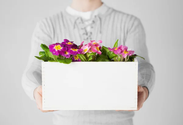 Erkek çiçekler ile büyük pot holding — Stok fotoğraf