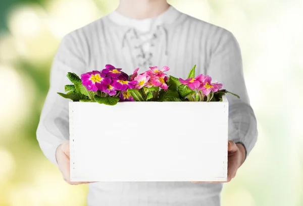 Homem segurando panela grande com flores — Fotografia de Stock