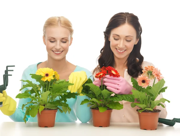 Femme au foyer avec fleur en pot et ensemble de jardinage — Photo