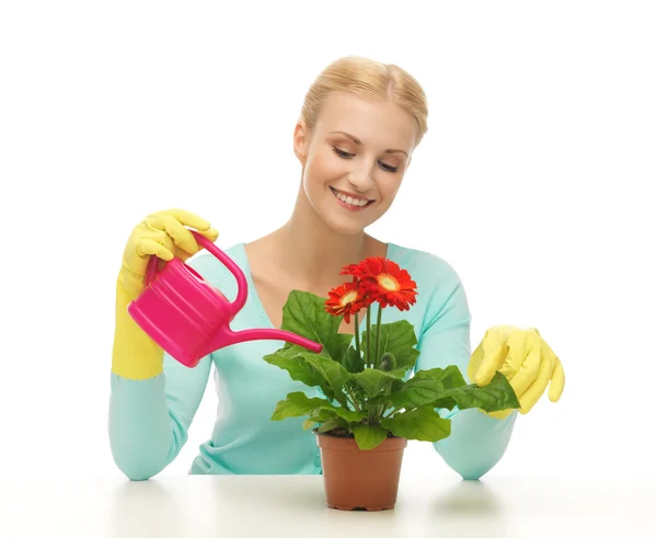 Housewife with flower in pot and watering can — Stock Photo, Image