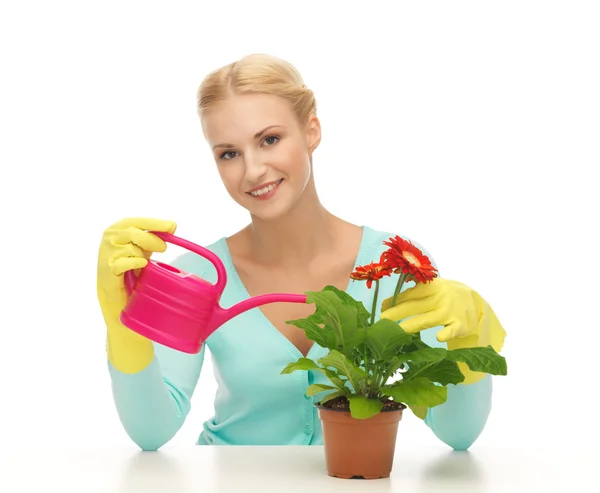 Housewife with flower in pot and watering can — Stock Photo, Image