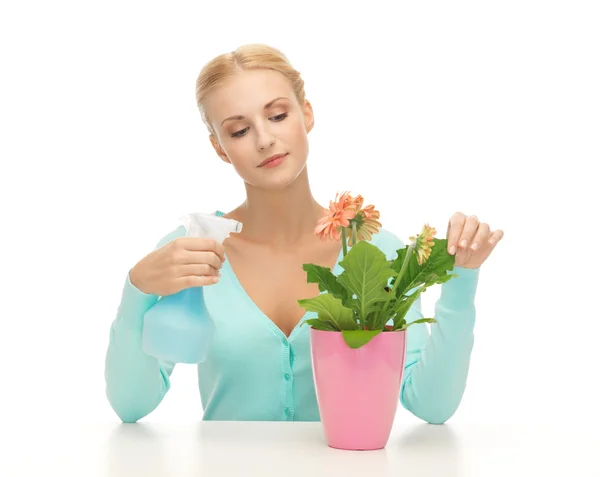 Frau hält Topf mit Blume und Sprühflasche — Stockfoto