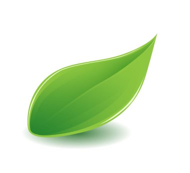Green leaf clipart