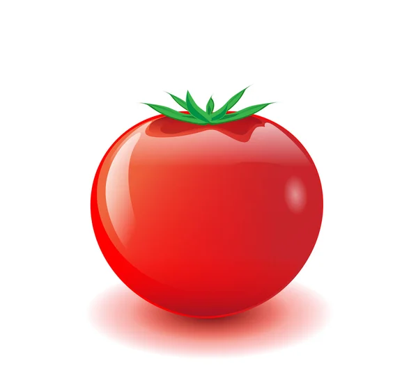 Röd tomat — Stock vektor