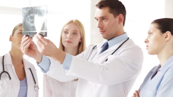 Närbild av två läkare med x-ray utskrifter — Stockvideo