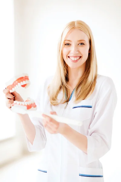 Médecin avec brosse à dents et mâchoires à l'hôpital — Photo