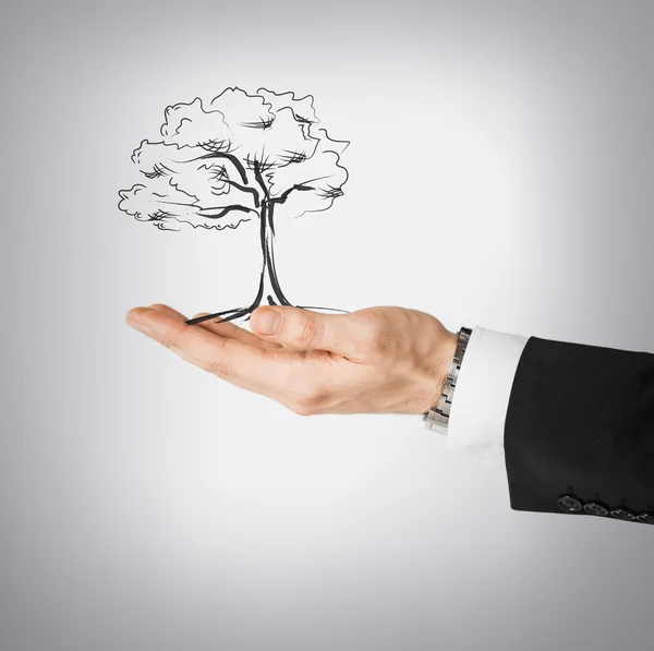 Man with small tree in his hand — Stock Photo, Image