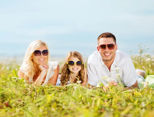 Familia feliz con cielo azul y hierba verde Imagen de stock