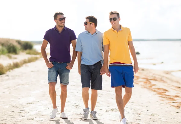 Skupina přátel kráčející po pláži — Stock fotografie