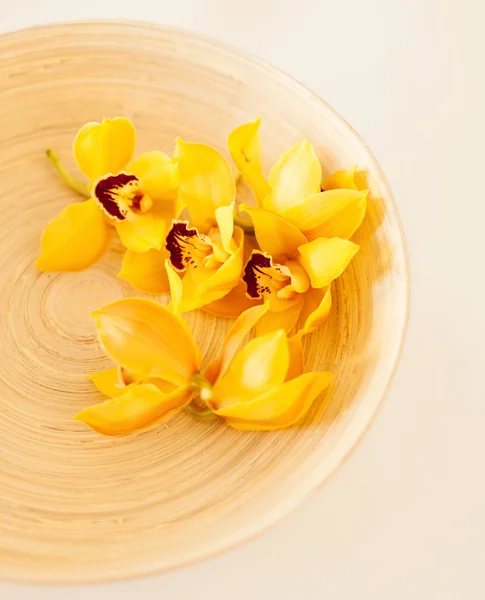 Closeup of wooden bowl with orchid flowers — Stock Photo, Image