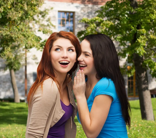 Duas garotas sorridentes sussurrando fofocas — Fotografia de Stock