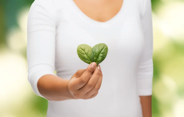 Nahaufnahme Frau Hand mit grünen Sprossen — Stockfoto