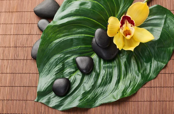 Massage stones with flowers on mat — Stock Photo, Image