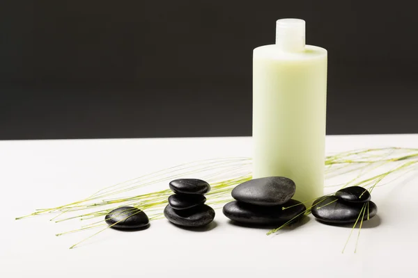 Frasco de champô, pedras de massagem e planta verde — Fotografia de Stock