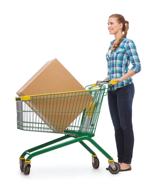 Sorrindo jovem mulher com carrinho de compras — Fotografia de Stock