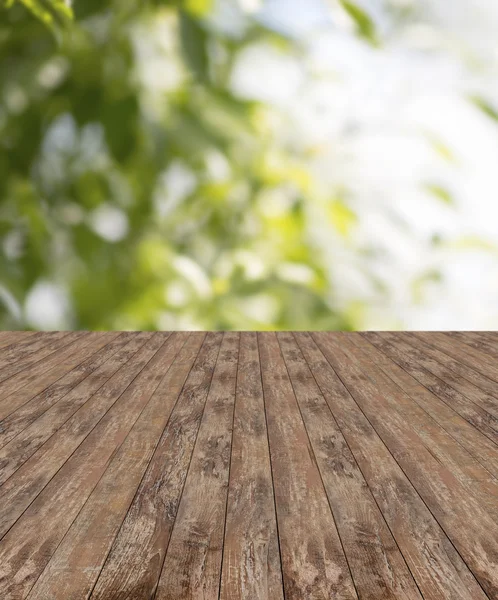 Podea din lemn și plante verzi — Fotografie, imagine de stoc