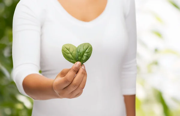 Primo piano mano donna con germoglio verde — Foto Stock