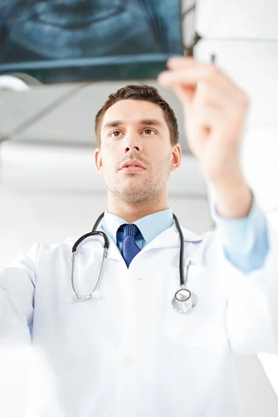 Male doctor or dentist looking at x-ray — Stock Photo, Image