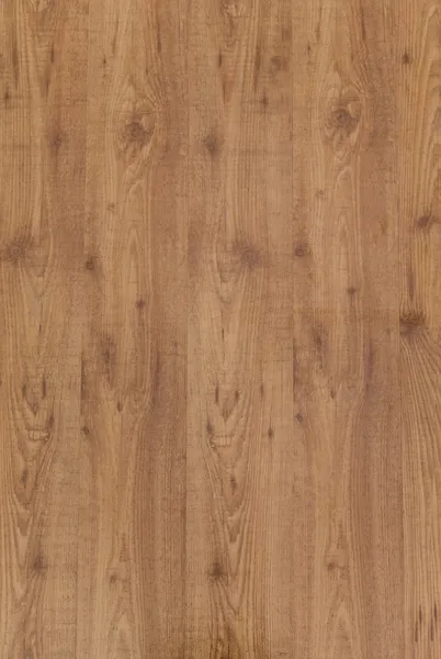 Pavimento o parete in legno — Foto Stock