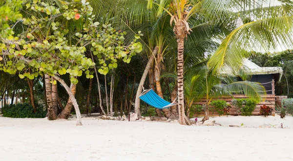 Hammock på tropisk strand — Stockfoto