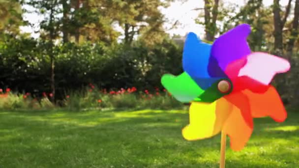 여름에 야외에서 회전하는 화려 한 바람개비 — 비디오