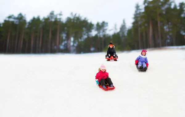 Kinder rutschen im Winter auf Schlitten den Schneehügel hinunter — Stockfoto