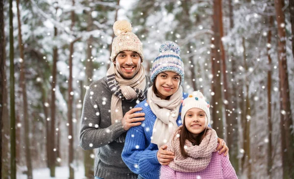 Счастливая семья на фоне зимних лесов — стоковое фото