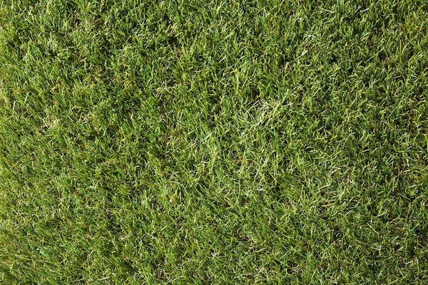 Zbliżenie zielonej sztucznej trawy lub trawnika — Zdjęcie stockowe