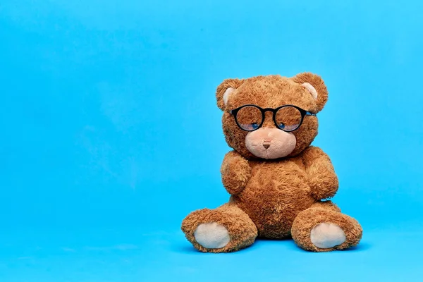 Urso de pelúcia marrom brinquedo em óculos no fundo azul — Fotografia de Stock