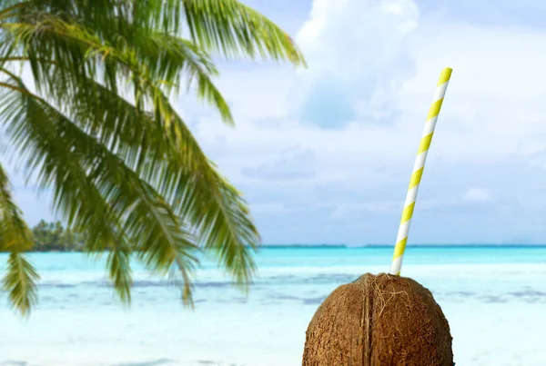 Kokosdrank met papieren rietje over tropisch strand — Stockfoto