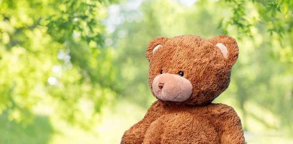 Bruin teddybeer speeltje over blauwe achtergrond — Stockfoto