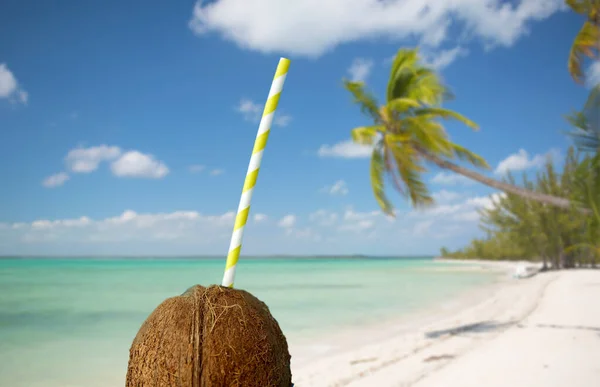 Kokosdrank met papieren rietje over tropisch strand — Stockfoto