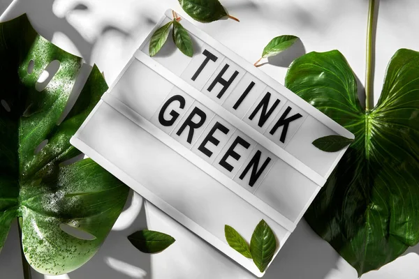Ljus låda med go gröna ord och blad — Stockfoto