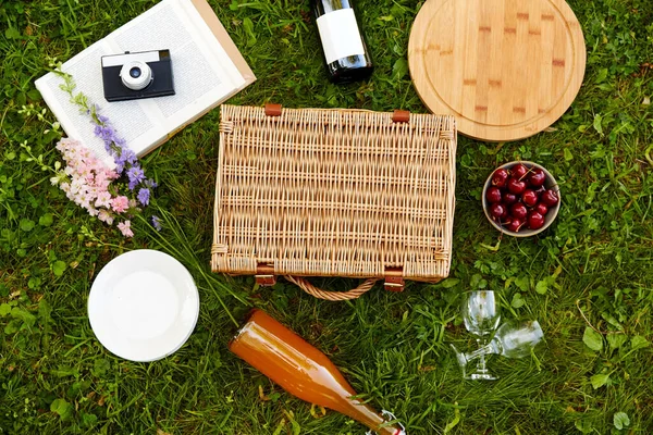 Jídlo, nápoje a piknikový koš na trávě — Stock fotografie