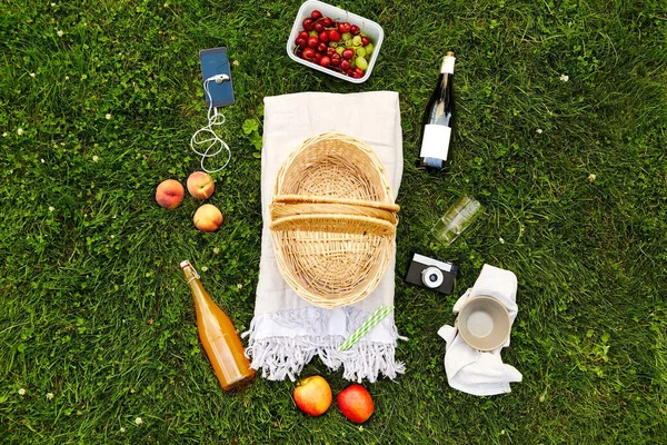 Picknickmand, eten, drinken en telefoon op gras — Stockfoto