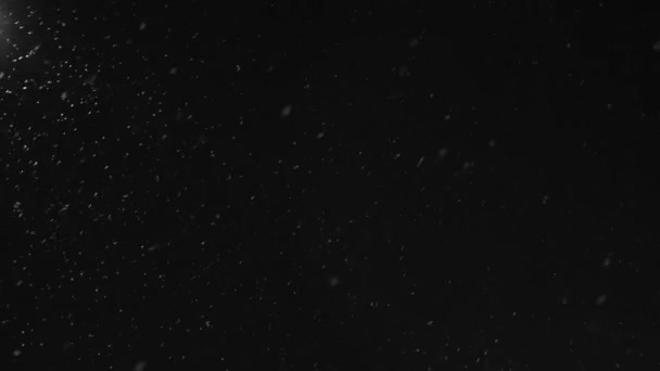 Снег падает на черный фон или ночное небо — стоковое видео