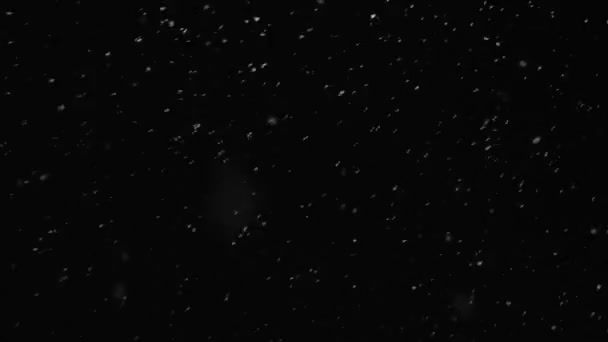 Neige tombant sur fond noir ou ciel nocturne — Video