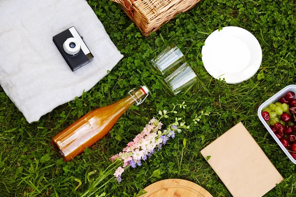 Makanan, minuman dan keranjang piknik di rumput — Stok Foto