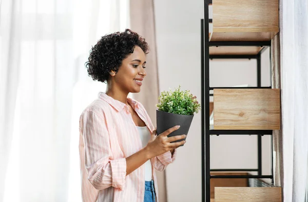 Mujer decorando el hogar con flor o planta de interior —  Fotos de Stock