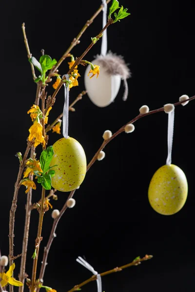 Willow and forsythia branches with easter eggs — Stock Photo, Image