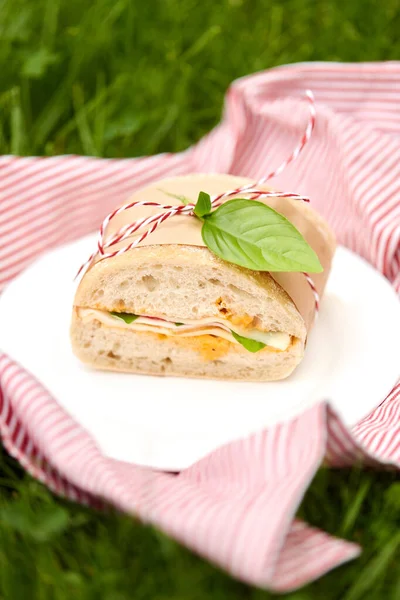 Close up de sanduíche no piquenique no jardim — Fotografia de Stock
