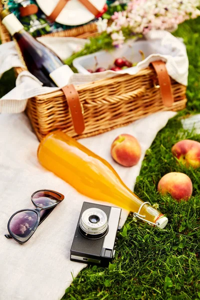 Fotoaparát, piknikový koš, láhev džusu a sluneční brýle — Stock fotografie