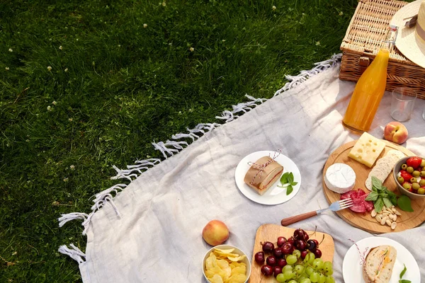食物、饮料和野营篮，铺在草地上的毯子上 — 图库照片